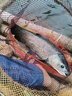 新款高清水底下探魚器可夜視全套攝像探頭釣魚看魚型錨魚裝備神器 4.3寸高清屏+超清探頭+15米線 曬單實拍圖