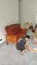 金歌家居沙發(fā)實(shí)木沙發(fā)仿古中式全實(shí)木沙發(fā)冬夏兩用雕花木沙發(fā)客廳橡木沙發(fā) 單人位+雙人位+三人位+茶幾+方幾 曬單實(shí)拍圖