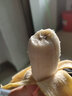 秀果香廣西粉蕉西貢蕉甜芭蕉蘋(píng)果蕉自然熟小米香蕉新鮮水果薄皮無(wú)催熟 3斤 凈重粉蕉泡沫箱 香甜軟糯 曬單實(shí)拍圖