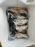 新鮮冷凍巴沙魚鰭鮰魚翅魚肥油龍利魚魚翅魚下巴魚嘴魚腩冷凍批發(fā) 正宗肥嫩巴沙魚鰭 500g 一斤裝 曬單實(shí)拍圖