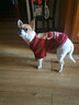 拉維佩特（LOVINGPET）紅色狗狗衣服小型犬保暖泰迪衣服狗衣服秋冬寵物衣服比熊衣服 紅色 S（參考2.5-4斤） 曬單實(shí)拍圖
