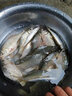 力丸 日本進(jìn)口尼龍魚(yú)線超柔軟不打卷子線原絲 子母線競(jìng)技黑坑超強(qiáng)拉力釣魚(yú)線主線 深紫色抗沖擊主線50米+子線50米 主線3.0+子線2.0 曬單實(shí)拍圖