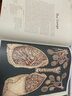 Anatomicum 解剖館 歡迎來(lái)到博物館系列 青少年英語(yǔ)課外閱讀科普讀物 精裝大開本 英文原版進(jìn)口原版書籍【中圖原版】 曬單實(shí)拍圖