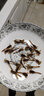 蝎子活全蝎中藥材沂蒙山活體蝎王十足全蝎活蝎子泡酒油炸煲湯全蟲(chóng) 20只小號公蝎4到5厘米送2只防死 曬單實(shí)拍圖