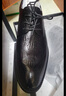 花花公子正裝皮鞋男新款男士頭層牛皮壓花布洛克男鞋個(gè)性男鞋 黑色 44 曬單實(shí)拍圖