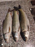 佐崎精工旗艦19調(diào)麥凱侖GT大物谷麥竿逗釣竿超輕硬三定位前打竿 9m +竿梢+竿包+地插 【組合版】+千代松D95輪+谷麥線 曬單實(shí)拍圖