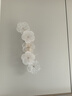 皇利萊法式輕奢床頭壁燈2025新款高級(jí)感現(xiàn)代背景墻裝飾燈具臥室客廳壁燈 大號(hào) 花朵玻璃壁燈D260*H570mm 曬單實(shí)拍圖
