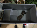 HKML養(yǎng)龜箱烏龜缸大型專用缸家用飼養(yǎng)缸塑料大烏龜養(yǎng)殖缸龜池周轉(zhuǎn)箱盆 灰色：100*40*34厘米+側(cè)排加水管 曬單實拍圖