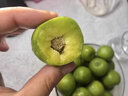 京配嘉果四川脫骨李老樹(shù)大果 青脆李子新鮮水果當季現發(fā)整箱李子 1斤精選裝 曬單實(shí)拍圖