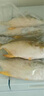 北海灣 新鮮海捕金鯧魚(yú) 大鯧魚(yú)海鮮平魚(yú)冷凍扁魚(yú)冰鮮大鯧魚(yú)海魚(yú)銀魚(yú)魚(yú)類(lèi) 【凈重400-500克/條】 共4條 曬單實(shí)拍圖