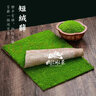 苔蘚微景觀盆景鋪面青苔白發(fā)小灰短絨蘚假山水陸雨林造景庭院綠化 新鮮短絨蘚約半平方（6張） 曬單實(shí)拍圖