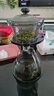 加厚玻璃茶具套裝自動(dòng)一體懶人家用感應磁吸泡茶壺功夫茶杯泡茶器 靜美玻璃自動(dòng)3件套-龍門(mén)黑 曬單實(shí)拍圖