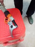 邁越家用電動(dòng)剪刀果樹(shù)剪充電園林修剪機樹(shù)枝修枝剪電動(dòng)農具 36V有線(xiàn)7.0尊貴電動(dòng)剪刀 曬單實(shí)拍圖