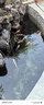 森森錦鯉魚(yú)池增氧泵魚(yú)缸養魚(yú)氧氣泵戶(hù)外池塘大氣量增氧機防雨淋  CAP20【防雨淋】適用8立方魚(yú)池使用 曬單實(shí)拍圖