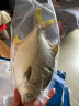 翔泰 冷冻海南大规格金鲳鱼550g1条 海鱼 生鲜鱼类 火锅 海鲜水产 实拍图