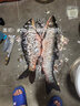 YNKOO加粗歪嘴綁好成品加固大巨物鱘草青魚(yú)雙鉤釣魚(yú)對鉤大號有刺全套 【4付】 1.5米;10鉤(子線(xiàn)7.0#) 曬單實(shí)拍圖