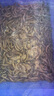 逸樂(lè )寵 大麥蟲(chóng)活蟲(chóng)鮮活面包蟲(chóng)大號黃粉蟲(chóng)金龍魚(yú)魚(yú)食八哥畫(huà)眉鳥(niǎo)倉鼠食活體蟲(chóng)子 批發(fā)2斤大麥蟲(chóng)4-6cm 曬單實(shí)拍圖
