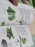 常見蔬菜圖鑒 曬單實拍圖
