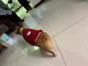 PELOMIC中型犬狗狗衣服秋冬款棒球衛(wèi)衣柯基衣服寵物運(yùn)動(dòng)服飾保暖冬裝狗服 黑色 XL 胸圍70cm背長(zhǎng)48cm體重22-30斤 曬單實(shí)拍圖