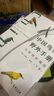 中國鳥類野外手冊 馬敬能新編版 套裝上下兩冊 經典觀鳥手冊的全新修訂 手繪版中國鳥類“新華字典” 正版書籍  圖書 曬單實拍圖