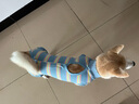拉維佩特（LOVINGPET）寵物狗絕育手術(shù)服 大中小型犬絕育衣服狗狗術(shù)后服公狗母狗絕育服 淺藍(lán)色 L 建議18-30斤 曬單實(shí)拍圖