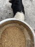烏拉圭牛肉骨粉高鈣牛骨高蛋白寵物飼料水產(chǎn)禽畜高鈣獸用補鈣 烏拉圭牛肉骨粉50斤 曬單實(shí)拍圖