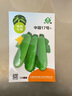 京農研西葫蘆瓜種子香蕉西葫蘆種籽圓形茭瓜耐熱耐寒抗病農科院蔬菜籽孑 中蔬中葫17號 1克 曬單實拍圖