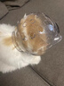 何佳功貓頭套防咬貓咪太空頭罩洗澡剪指甲防抓防舔?qū)櫸锷衿饕聋惿醉?xiàng)圈 小號(hào)【5-10斤】 當(dāng)/次日可達(dá) 曬單實(shí)拍圖