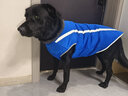 SLPC狗狗衣服金毛大型犬冬季保暖棉衣邊牧哈士奇柯基中型犬秋冬衣服 藍色 6XL建議（60-80斤） 曬單實(shí)拍圖