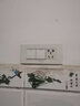 飛雕118型白色四位五孔組合模塊開關(guān)插座暗裝家用墻壁面板長方形 二開雙十孔（118白色） 曬單實拍圖