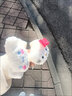 薇施妮（WEISHINI）可愛(ài)玉桂狗hellokitty毛絨發(fā)圈日系風(fēng)大腸發(fā)圈卡通三麗鷗發(fā)繩 主圖2個(gè)裝 A22-202 曬單實(shí)拍圖