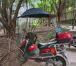 豪迅電動(dòng)車(chē)雨棚摩托車(chē)遮陽(yáng)傘三輪車(chē)擋風(fēng)罩電瓶車(chē)遮雨蓬防曬防風(fēng)傘 新款黑色麥穗+快拆支架+可拆側擋 有后視鏡車(chē)型 曬單實(shí)拍圖