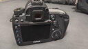 佳能（Canon） EOS 5D Mark IV 專(zhuān)業(yè)全畫(huà)幅單反相機(jī)套機(jī) 5D4高端單反 佳能5d4拆單機(jī)身（不含鏡頭） 套餐一【佳能相機(jī)專(zhuān)用4K內(nèi)存卡~佳能相機(jī)包】 曬單實(shí)拍圖