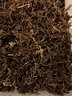 金利佳（Jeneca）爬寵苔蘚棷土烏龜爬蟲(chóng)冬眠保暖無(wú)菌椰磚墊材產(chǎn)卵池場(chǎng)地布景種綠槙 【苔蘚360g】 曬單實(shí)拍圖