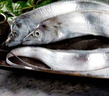 京沭帶魚(yú) 精品海釣帶魚(yú) 新鮮特大整條帶魚(yú)禮盒整箱 海鮮水產(chǎn)生鮮魚(yú)類(lèi) 6斤禮盒（1斤-1.4斤/條） 曬單實(shí)拍圖