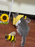 嬉皮狗（hipidog）可愛(ài)動(dòng)物造型貓伊麗莎白圈柔軟項圈貓頭套防咬防舔圍脖幼貓小型犬 黃色小蜜蜂 XS-小型（建議體重2-5斤） 曬單實(shí)拍圖