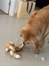 貴為（GiGwi）狗玩具大型犬狗狗玩具磨牙發(fā)聲耐咬拔河自嗨解悶神器毛絨寵物玩具 曬單實拍圖
