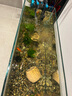 創(chuàng  )寧魚(yú)缸壁掛過(guò)濾器外置三合一小型循環(huán)泵除油膜增氧瀑布外掛草缸用品 8W【除油膜版】適合80cm內缸 曬單實(shí)拍圖
