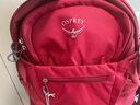 OSPREY DAYLITE PLUS 日光+ 20L多用途城市 單日戶(hù)外輕量化雙肩徒步背包 新款 紅色 Cosmic Red 曬單實(shí)拍圖
