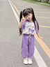 G.duck童裝女童套裝夏季24新款防蚊褲兒童套裝女孩卡通短袖衣服幼兒服裝 紫色 100尺碼2~3歲【 90-100cm】 曬單實(shí)拍圖