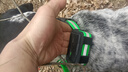 houndguard/TR-dog獵狗定位器4G無(wú)線電大山無(wú)信號(hào)可用GPS北斗護(hù)農(nóng)獵犬追蹤器 2代-黑色（1托1） 曬單實(shí)拍圖