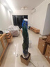 植季天堂鳥(niǎo)盆栽客廳綠植辦公室內大型植物新房家用吸甲醛花卉凈化空氣 8-9株-1.8-1.9米-L154米白聚寶盆 含盆 曬單實(shí)拍圖