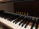 YAMAHA雅馬哈卡瓦依日本原裝進(jìn)口三角鋼琴珠江星海海倫國產(chǎn)三角鋼琴二手家用專(zhuān)業(yè)演奏考級99成新 高端演奏三角鋼琴/一對一選琴 定金專(zhuān)拍 專(zhuān)業(yè)琴師/一對一選琴 曬單實(shí)拍圖