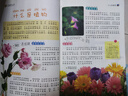 我的第一套百科全書(shū)：植物世界（16開(kāi)四色平裝 彩圖注音版） 曬單實(shí)拍圖