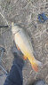 鴨飼料顆粒釣魚羅非鯽魚鯉魚草鯪魚野釣窩料打窩大顆粒飼料餌料鯉 腥香鴨飼料顆?！?斤】 曬單實(shí)拍圖