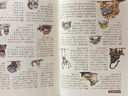 【新華書(shū)店】酷蟲(chóng)學(xué)校系列全套12冊6-9-12歲兒童科普漫畫(huà)插圖版酷蟲(chóng)學(xué)院昆蟲(chóng)知識科普大百科小學(xué)生一二三四五六年級課外兒童昆蟲(chóng)啟蒙寒假讀物 10.無(wú)法無(wú)天的幼稚班 曬單實(shí)拍圖