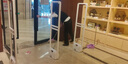 嘉能AM-056 超市防盜感應器 嘉能服裝店鋪聲磁門(mén)禁商場(chǎng)門(mén)口語(yǔ)音報警器 語(yǔ)音款副機(包安裝包專(zhuān)票) 曬單實(shí)拍圖