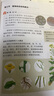 【正版當天發(fā)】2025版初中學(xué)霸沖A卷七八九年級上冊 【七年級上冊】語(yǔ)文人教版 曬單實(shí)拍圖