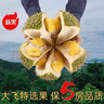 貓山王榴蓮D197冷凍榴蓮 特選果A+級保5房4.8-5.4斤大果 曬單實(shí)拍圖