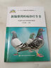 正版包郵 新編賽鴿疾病診療全書賽鴿子高效養(yǎng)殖技術(shù)大全書籍賽鴿常見病診治方法書科學(xué)鴿字飼養(yǎng)喂養(yǎng)治療賽鴿養(yǎng)殖書籍養(yǎng)信鴿子書籍 F 曬單實(shí)拍圖